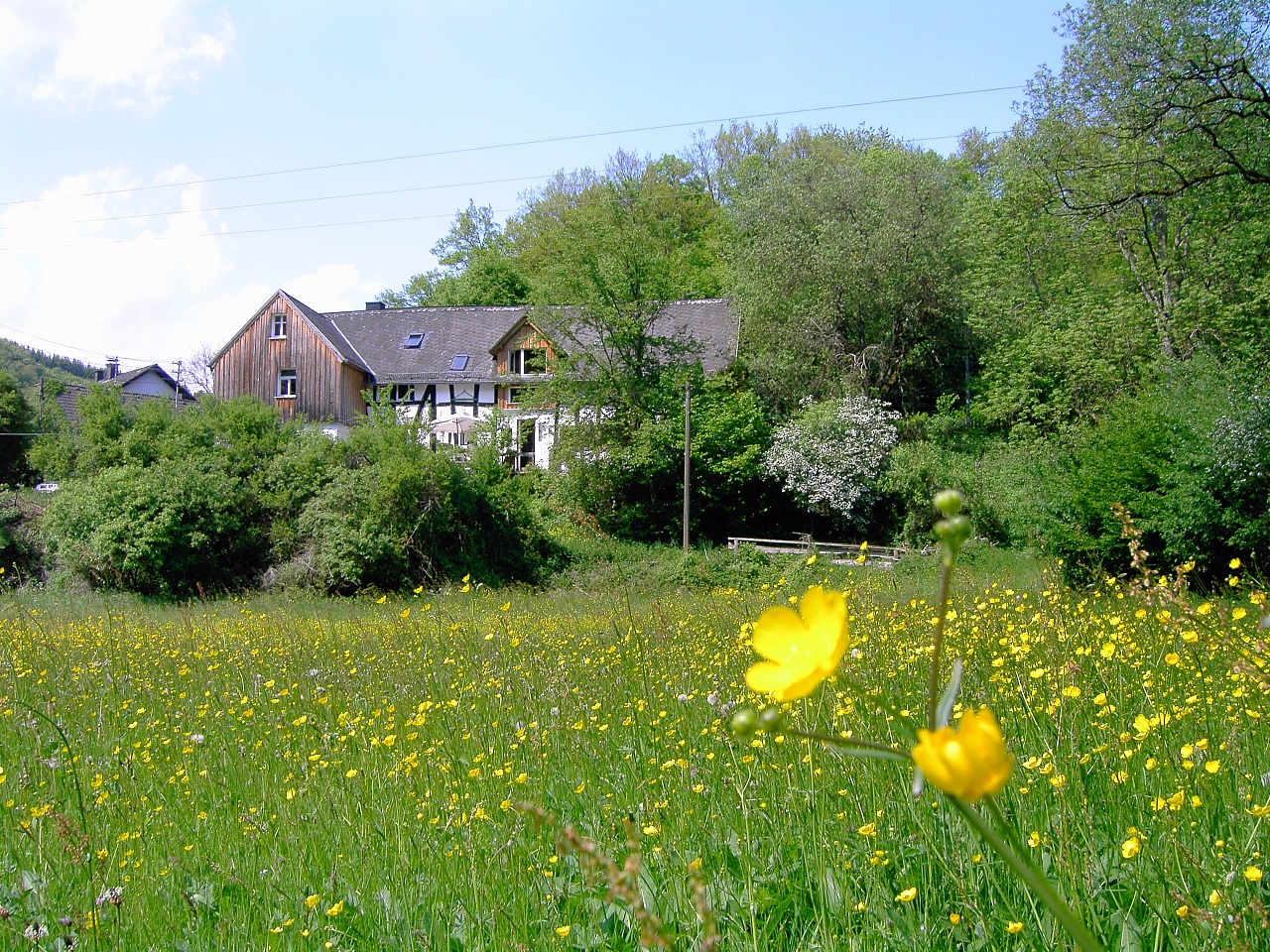 Seminarhaus am Weltende Alhausen mit Blumenwiese