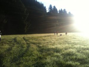 Morgenstimmung auf Auenwiese nach Morgen Sadhana
