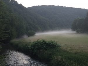 Nister Auenwiese mit Morgennebel